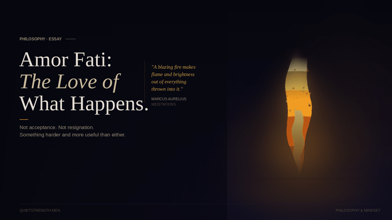 Amor Fati: The Love of What Happens