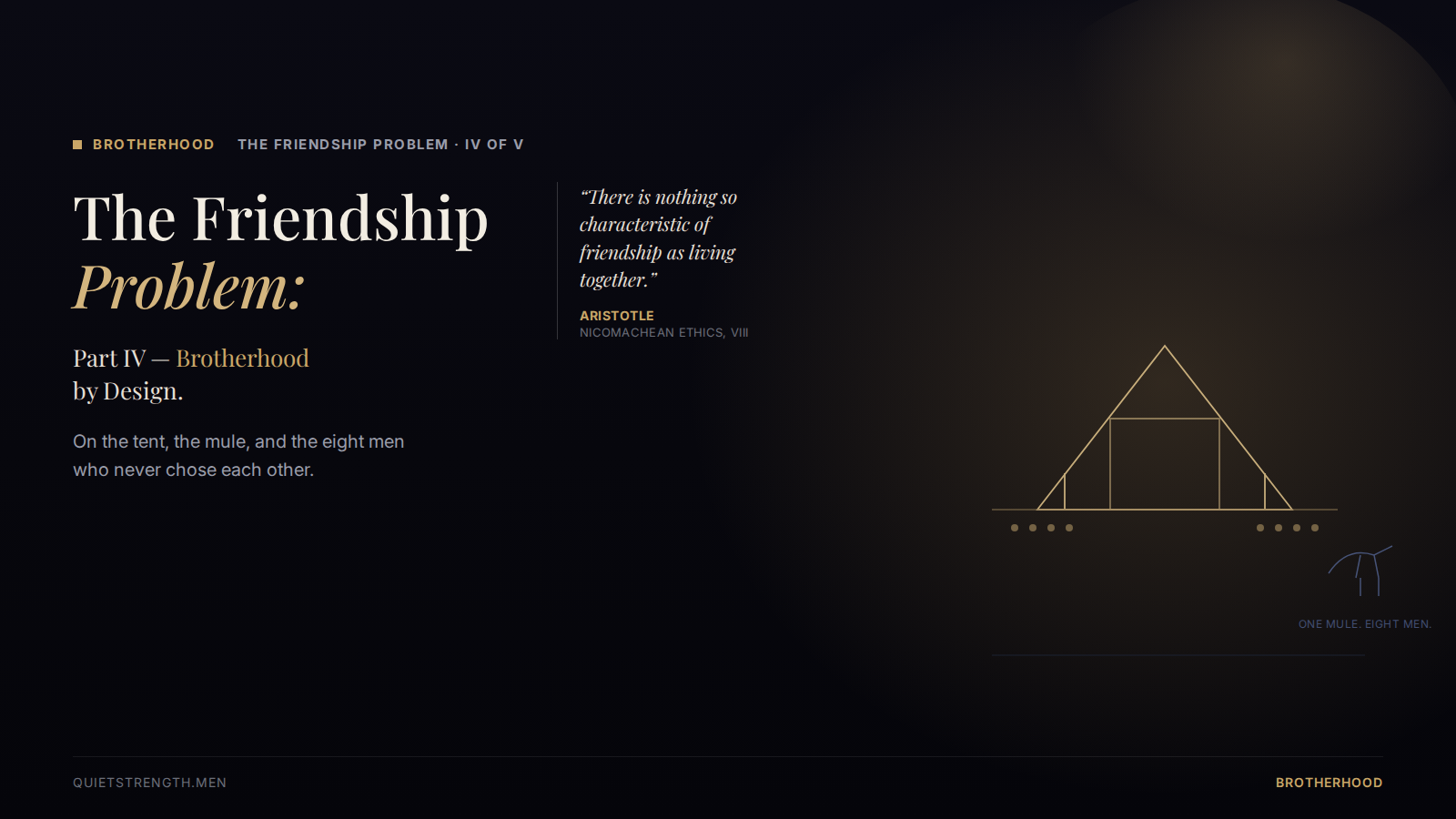 The Friendship Problem, Part IV: Brotherhood by Design